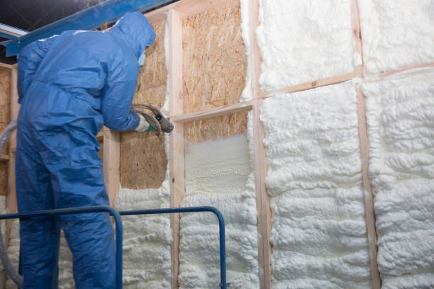 Types of Insulation We Offer in Raoul, GA